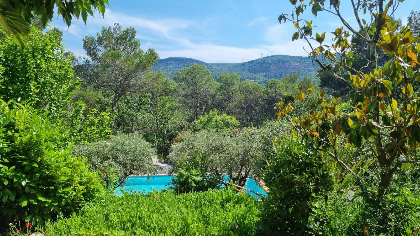 Chambre d'hôtes la Bastide Saint Bernard - chambre "tournesol" in Le Thoronet, Région de Draguignan