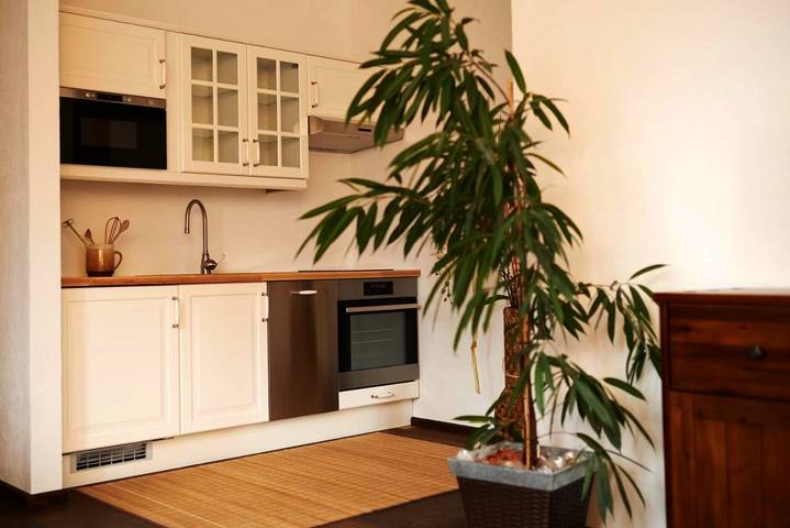 BnB für 6 Personen, mit Garten in der Oststeiermark - 4