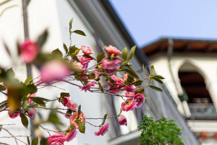 Location de vacances pour 2 personnes, avec Terrasse ainsi que Jardin et Vue à Torre Pellice - 3