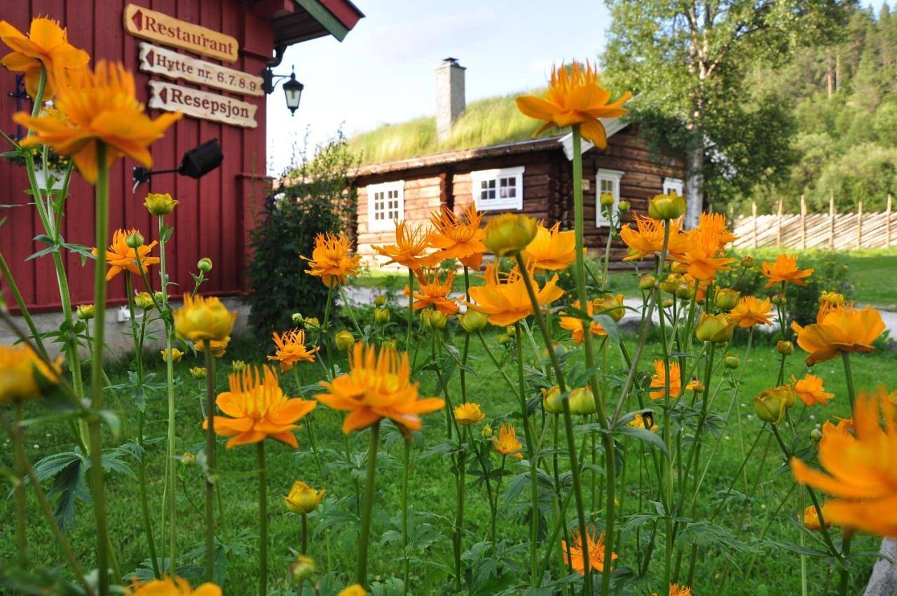 Rondane River Lodge in Stor-Elvdal