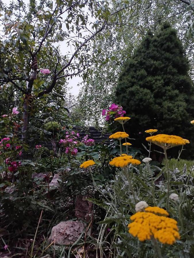 Gîte pour 3 personnes, avec jardin à Ambérieu-en-Bugey - 3