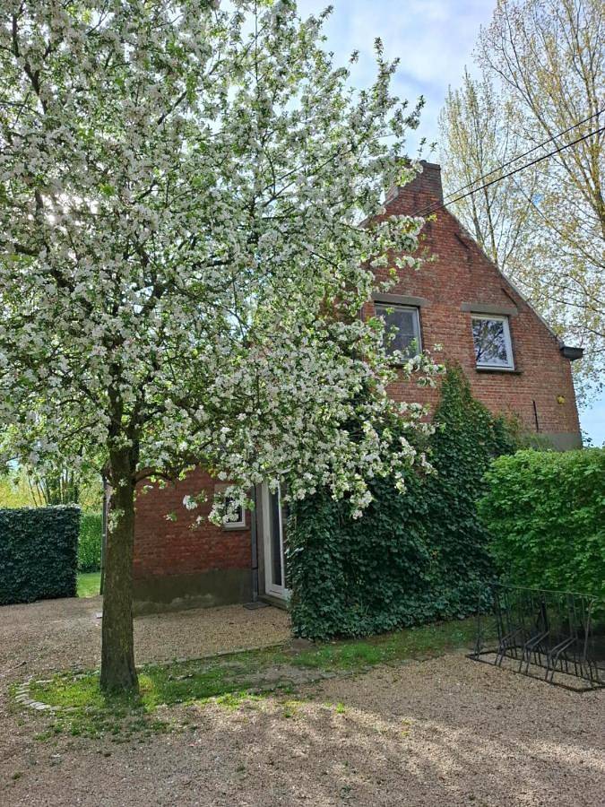 Location de vacances pour 7 personnes, avec jardin et vue, animaux acceptés à Wachtebeke - 2