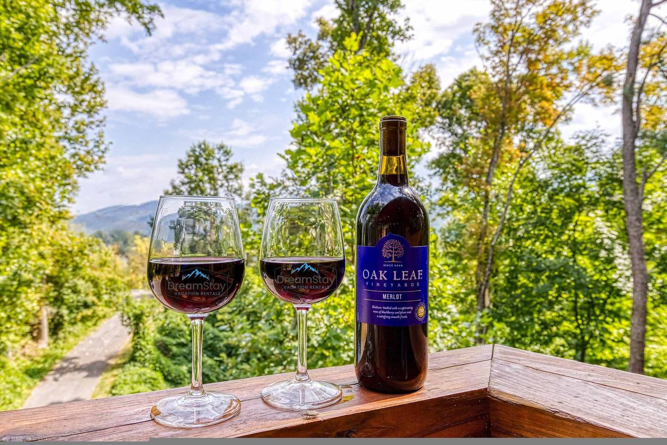 Entire apartment, Smoky Mist Ridge in Sevier County