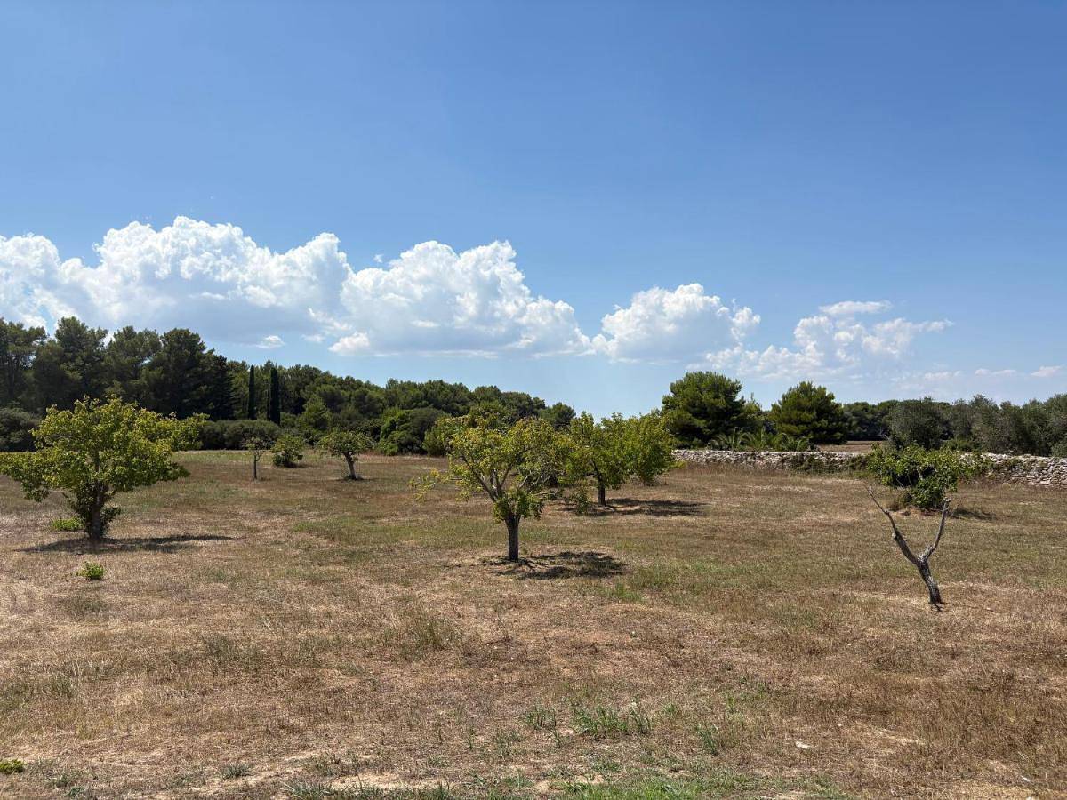 Holiday Home in Torre Saracena, Melendugno