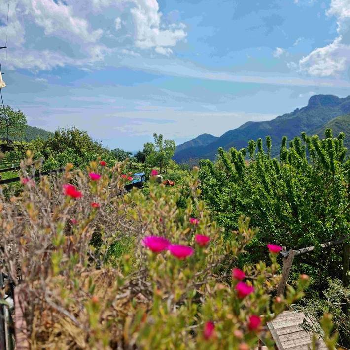 Casa vacanza per 4 persone, con panorama e balcone in Tramonti