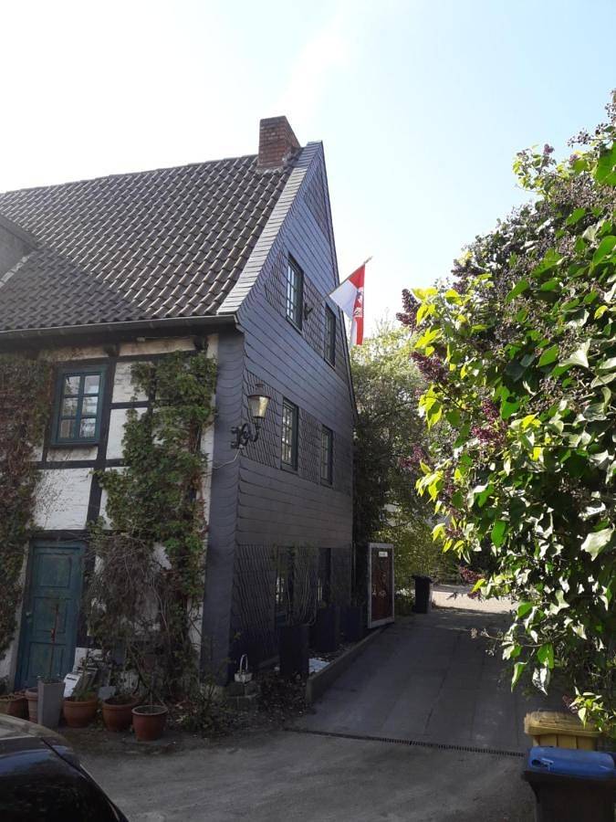 Ganze Wohnung, Der Birkenhof - Birch Court in Düsseldorf-Bilk, Düsseldorf