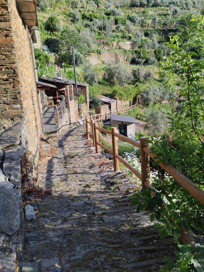 Location de vacances pour 10 personnes, avec vue et terrasse, animaux acceptés à Seia - 4