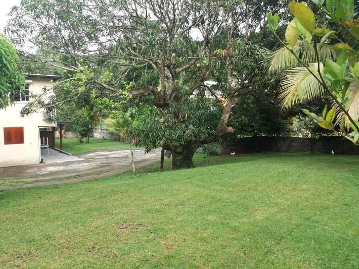 Maison d’hôte pour 2 personnes, avec vue et jardin à Les Abymes - 2
