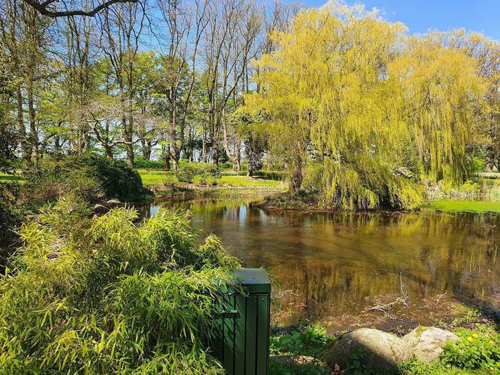 Ferienhaus für 7 Personen, mit Terrasse und Garten, mit Haustier auf Seeland - 3