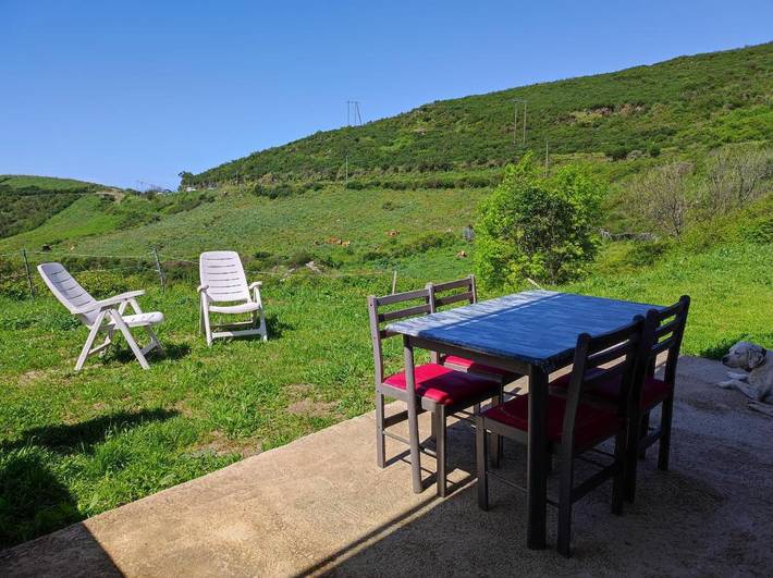 Gîte pour 4 personnes, avec terrasse ainsi que vue et jardin, animaux acceptés à Olmeta-di-Tuda - 4