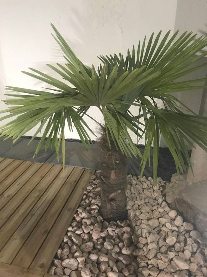 Location de vacances pour 14 personnes, avec vue et jardin à Pignans - 2