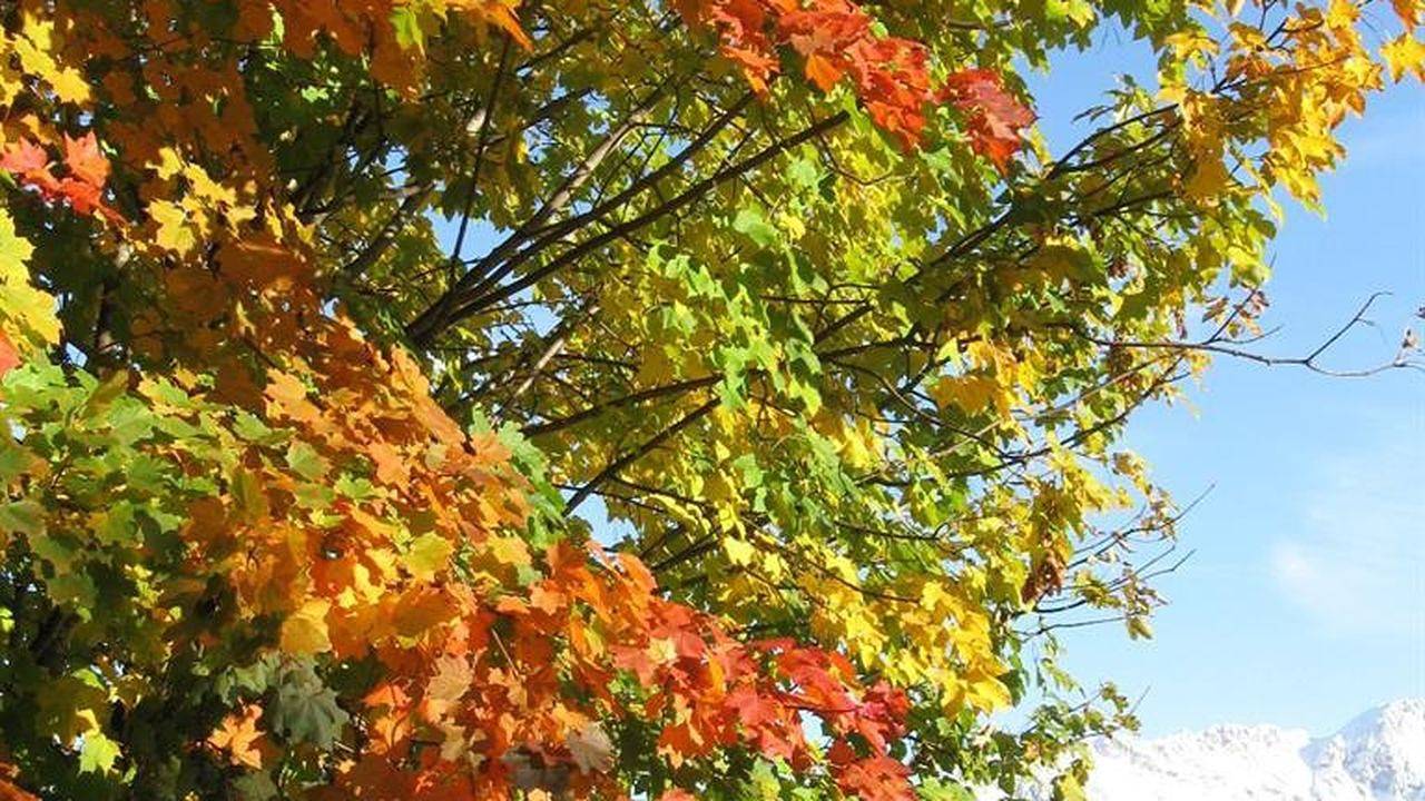 Ganze Ferienwohnung, Ferienwohnung für 6 Personen (90 m²) in Sölk in Kleinsölk, Tauern