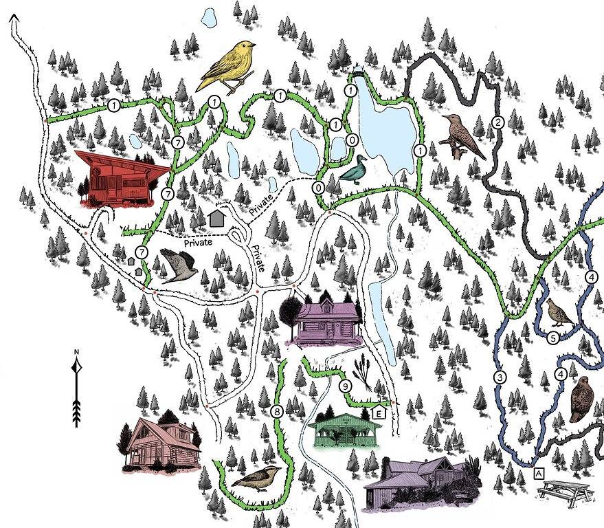 Violette Hütte - Glamping in den Lärchenhügeln 25 Minuten vom Lachsarm entfernt in Silver Star