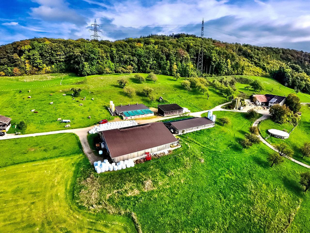 Chalet Staufenhof in Wintersingen, Region Basel RDK