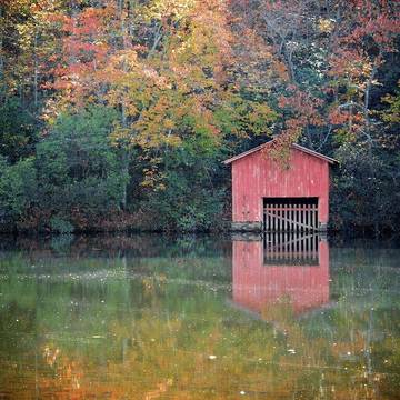 Log Cabin for 4 Guests in Alabama, Picture 4