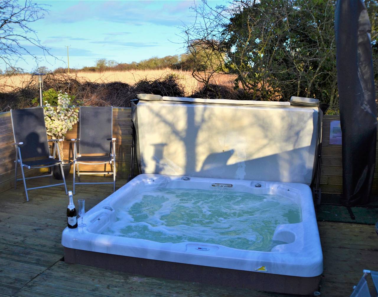 Little Fawn in Northumberland