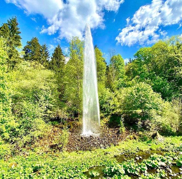 Ferienhaus für 8 Personen, mit Sauna und Garten, kinderfreundlich in Oberfranken - 4