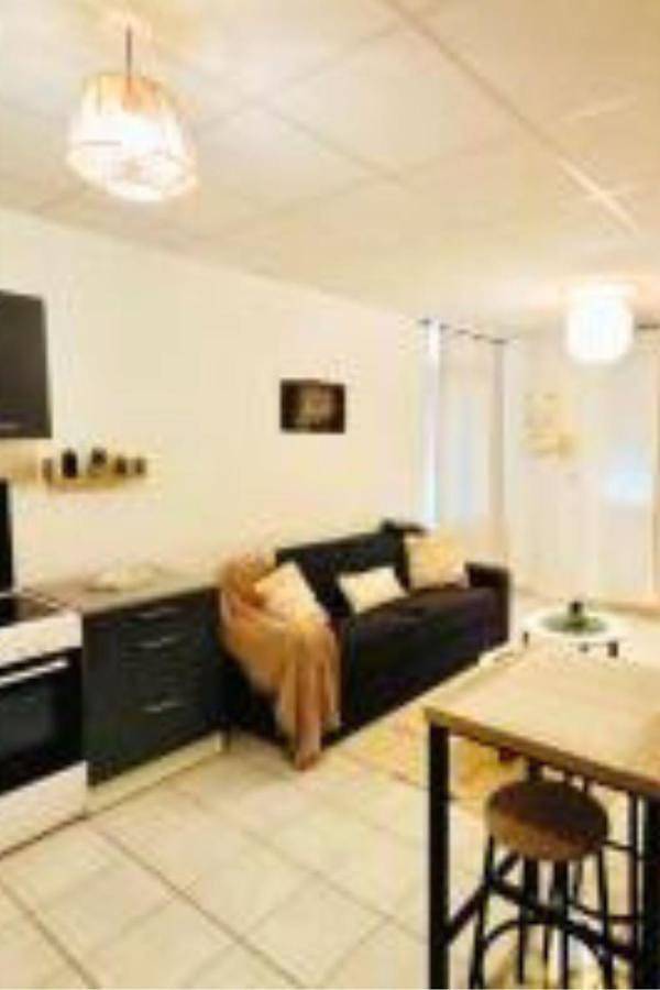 Appartement entier, Savana Lodge, Wi-Fi, Parking Privé et Calme, Sortie 12 Chanas in Chanas, Région de Vienne
