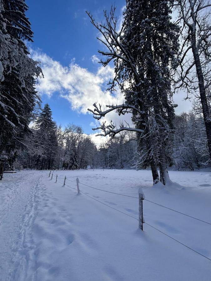 Deluxe Double Room in Morzine, Les Portes du Soleil