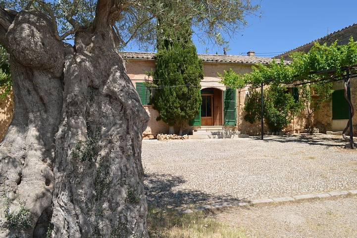 Ganze Wohnung, Wohnung 2 Personen in Sineu, Mallorca Inselmitte