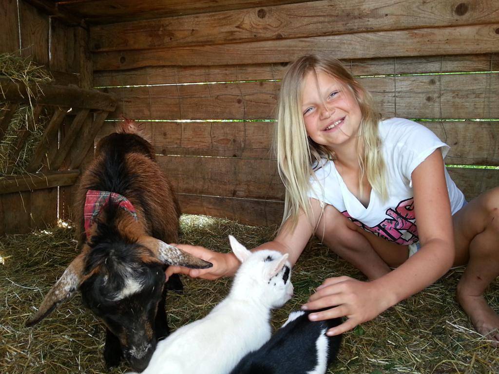 Strassbauernhof Familie Lothspieler - Bichlbirn in Steinakirchen am Forst, Mostviertel Region