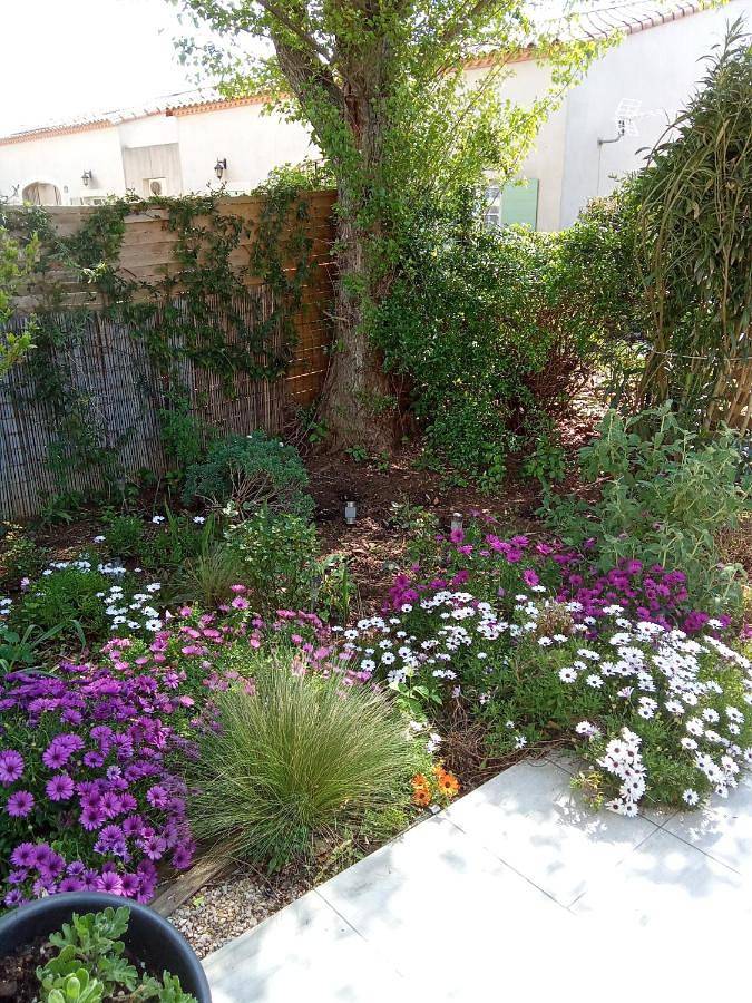 Location de vacances pour 5 personnes, avec jardin et piscine ainsi que terrasse et vue, animaux acceptés à Gallargues-le-Montueux - 2