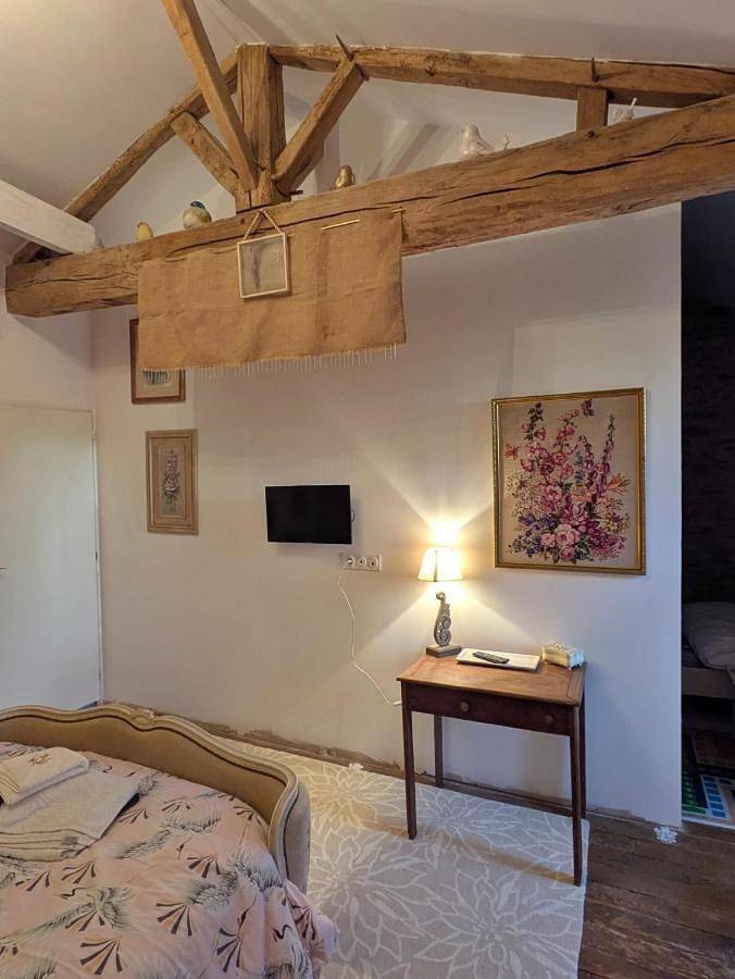 Chambre d’hôte pour 2 personnes, avec vue et jardin à Mareuil-sur-Lay-Dissais - 3