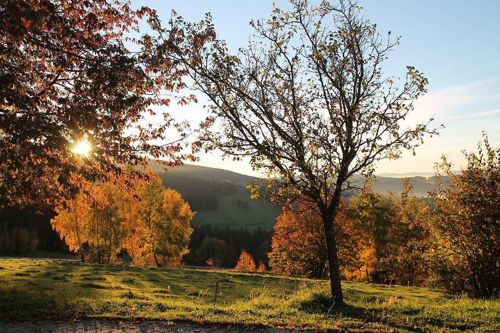 Stoahauer-Hof - 1x Fewo, 100 qm in Grainet, Ostbayern