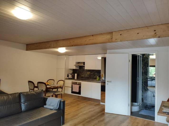 Gîte pour 4 personnes, avec terrasse, animaux acceptés à Châtel-Saint-Denis - 3