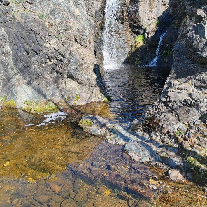 Location de vacances pour 5 personnes, avec vue et jardin, animaux acceptés à Kosjerić - 3