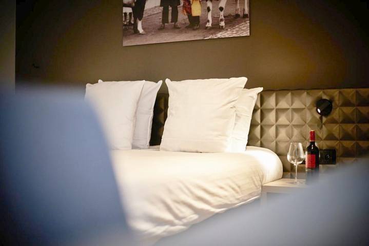 Hôtel pour 4 personnes, avec terrasse à Roeselare - 3