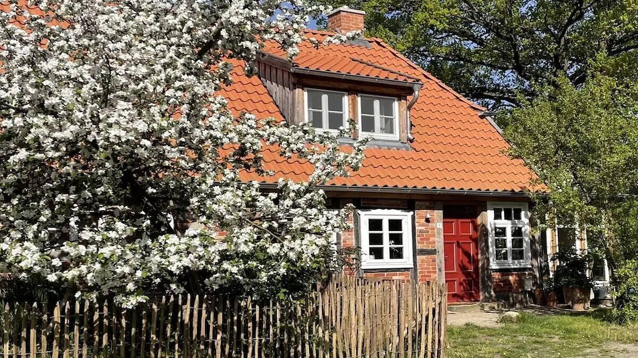Ferienhaus für 5 Personen (84 m²) in Unbesandten in Lenzerwische, Prignitz