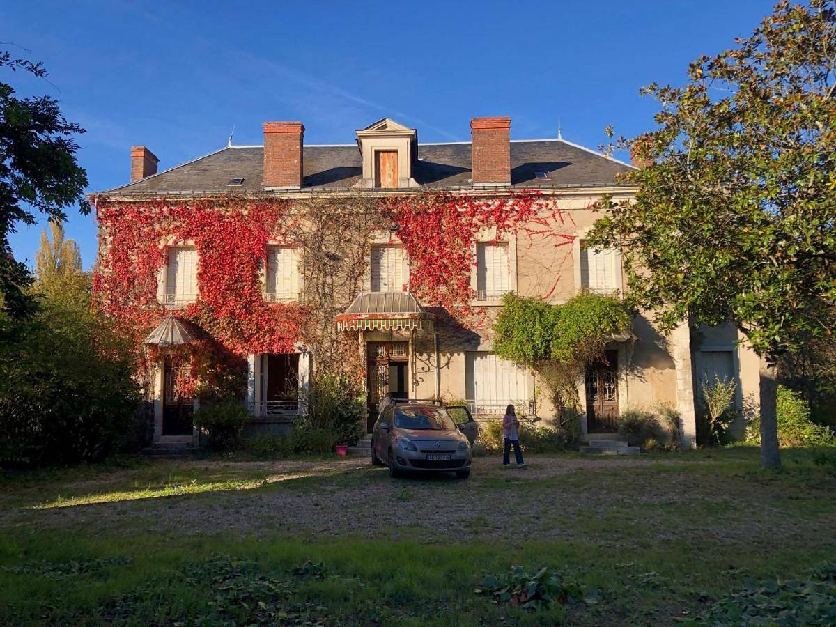 Gîte Manoir du moulin près du zoo de Beauval et les châteaux de la Loire in Chabris, Vallée de la Loire