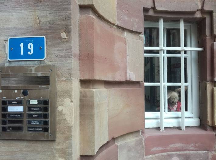 Gîte pour 2 personnes à Strasbourg - 3