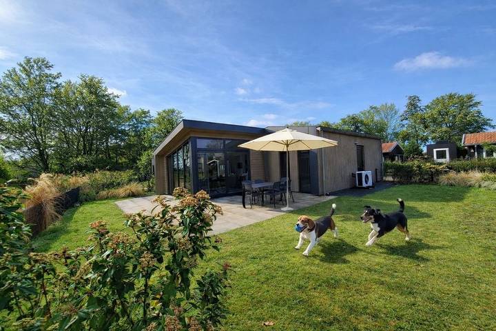 Ferienhaus für 6 Personen, mit Pool und Terrasse sowie Garten und Sauna, mit Haustier in den Niederlande - 4