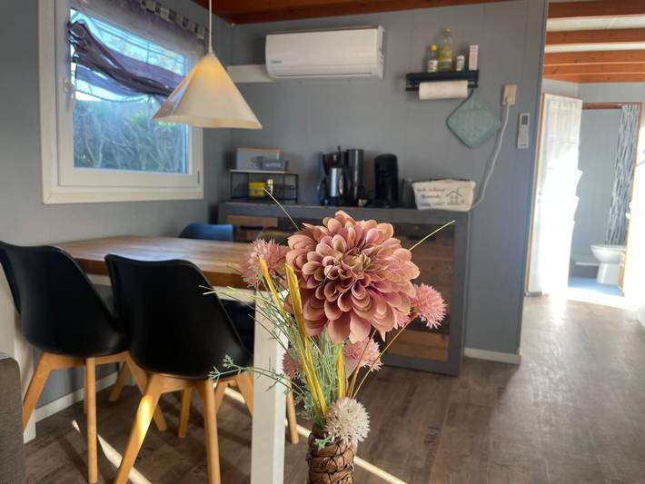 Ferienwohnung für 5 Personen, mit Garten, mit Haustier in Wervershoof - 4