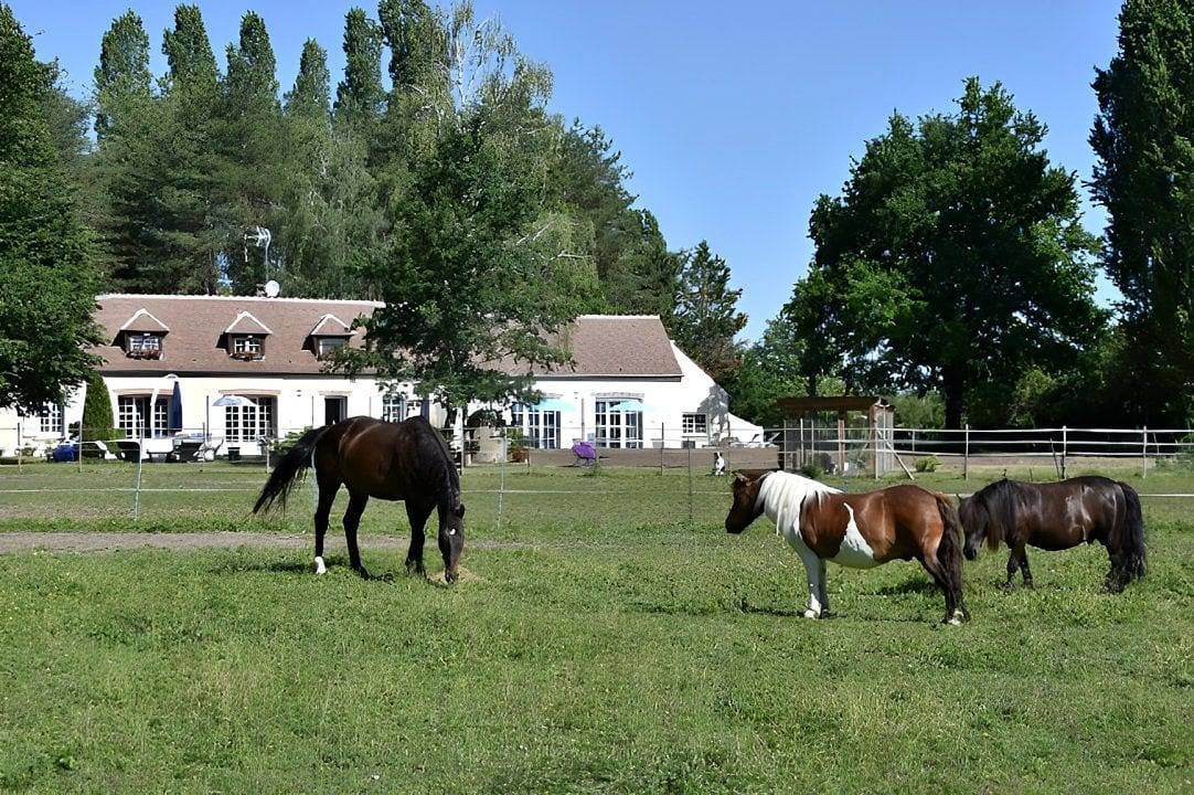 Chambre d'hôtes et Yourte La Maison des Pins - Yourte Mongole in Chevillon-sur-Huillard, Région de Montargis