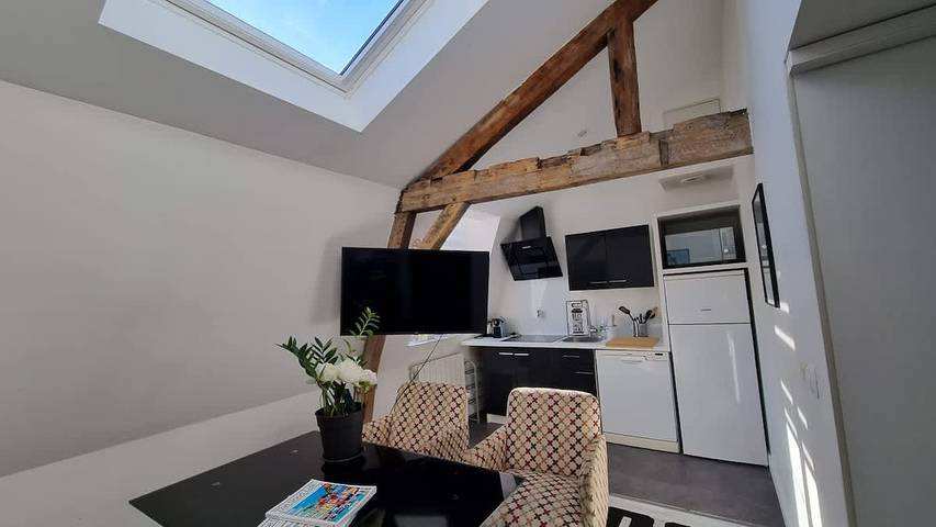 Apartamento entero, Jasmine-Proche gare, Grd Palais, Zenith&Centre in Lille, Lille region