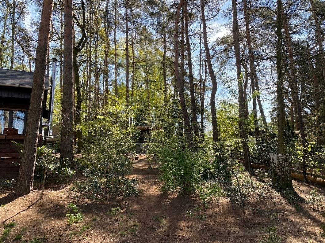 Wittingen in Wittingen, Landkreis Gifhorn