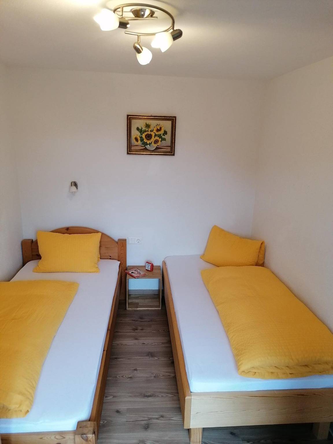 Ganze Ferienwohnung, Appartement Salvenblick in Hopfgarten im Brixental, Brixental