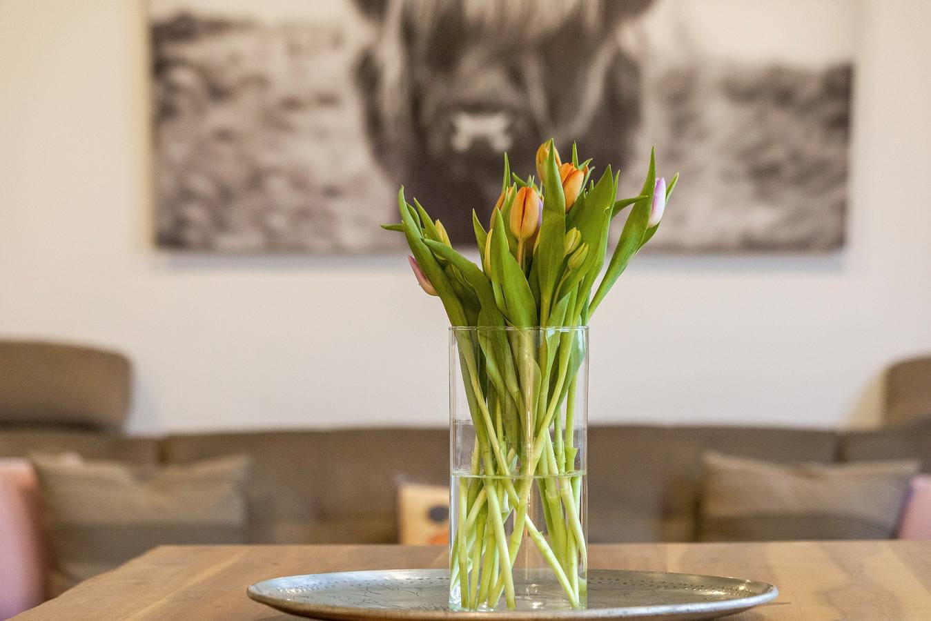 Appartement entier, Appartement 'Schöne Wohnung In Oberhausen' avec Wi-Fi in Oberhausen, Ruhr