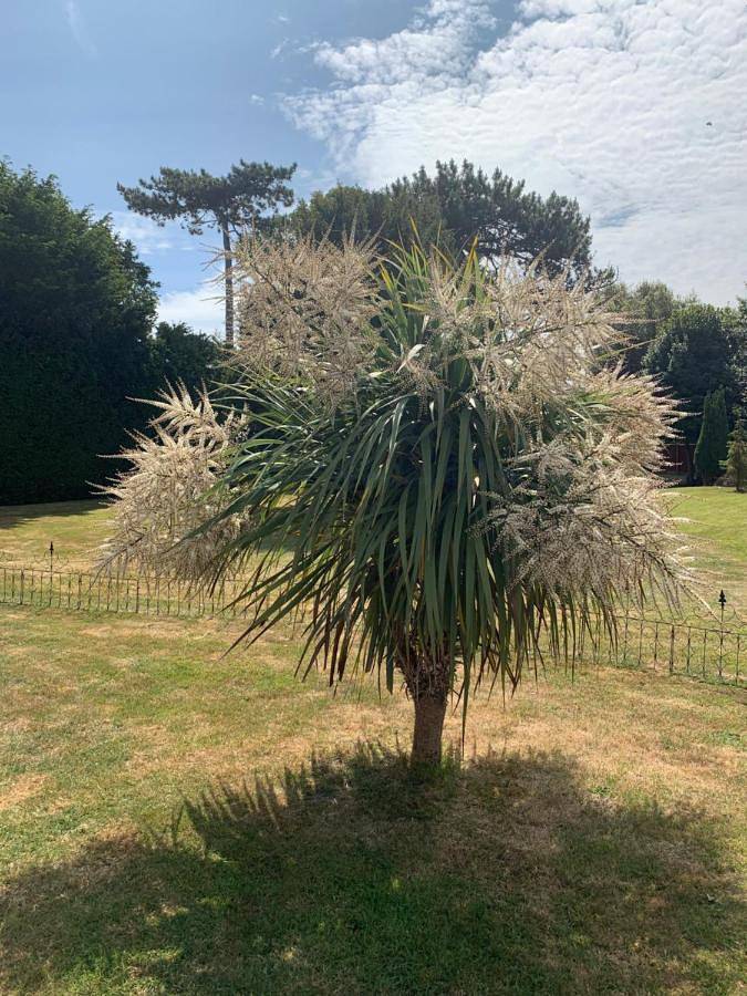 Double Room in Northbourne, Kent