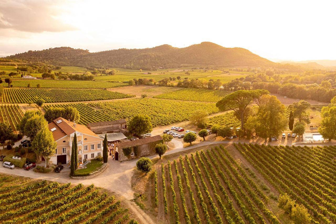 Appartement entier, Gîte Lavande au milieu des vignes - Chateau les Apiès in Les Arcs (Var), Région de Draguignan