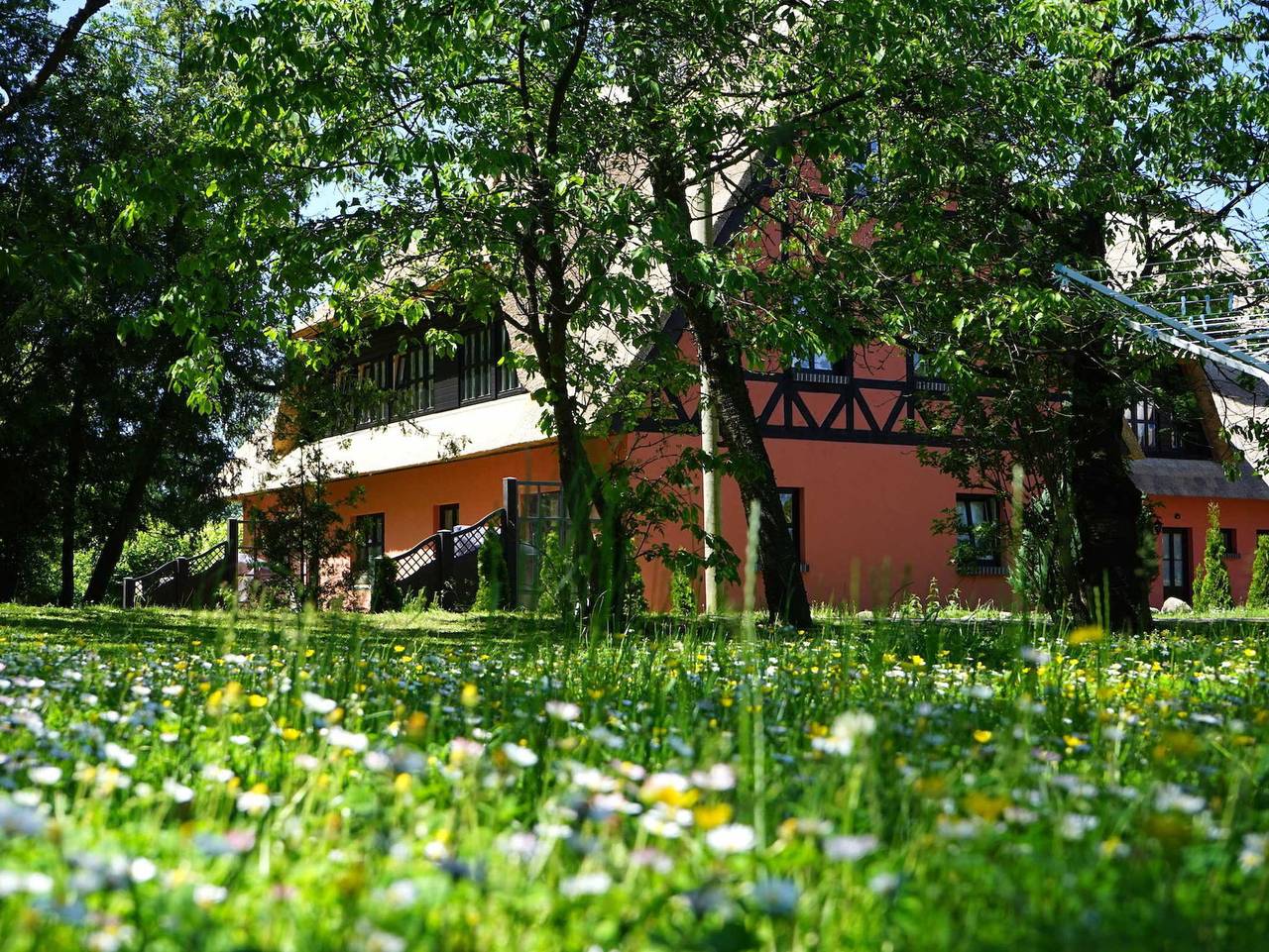 Ganze Ferienwohnung, Pferdehof Bela - Suite 3 in Altenkirchen, Rügen