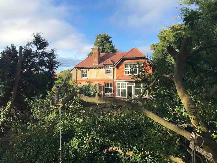 Vakantiehuis voor 4 personen, with Terras and Tuin as well as Uitzicht in Deal