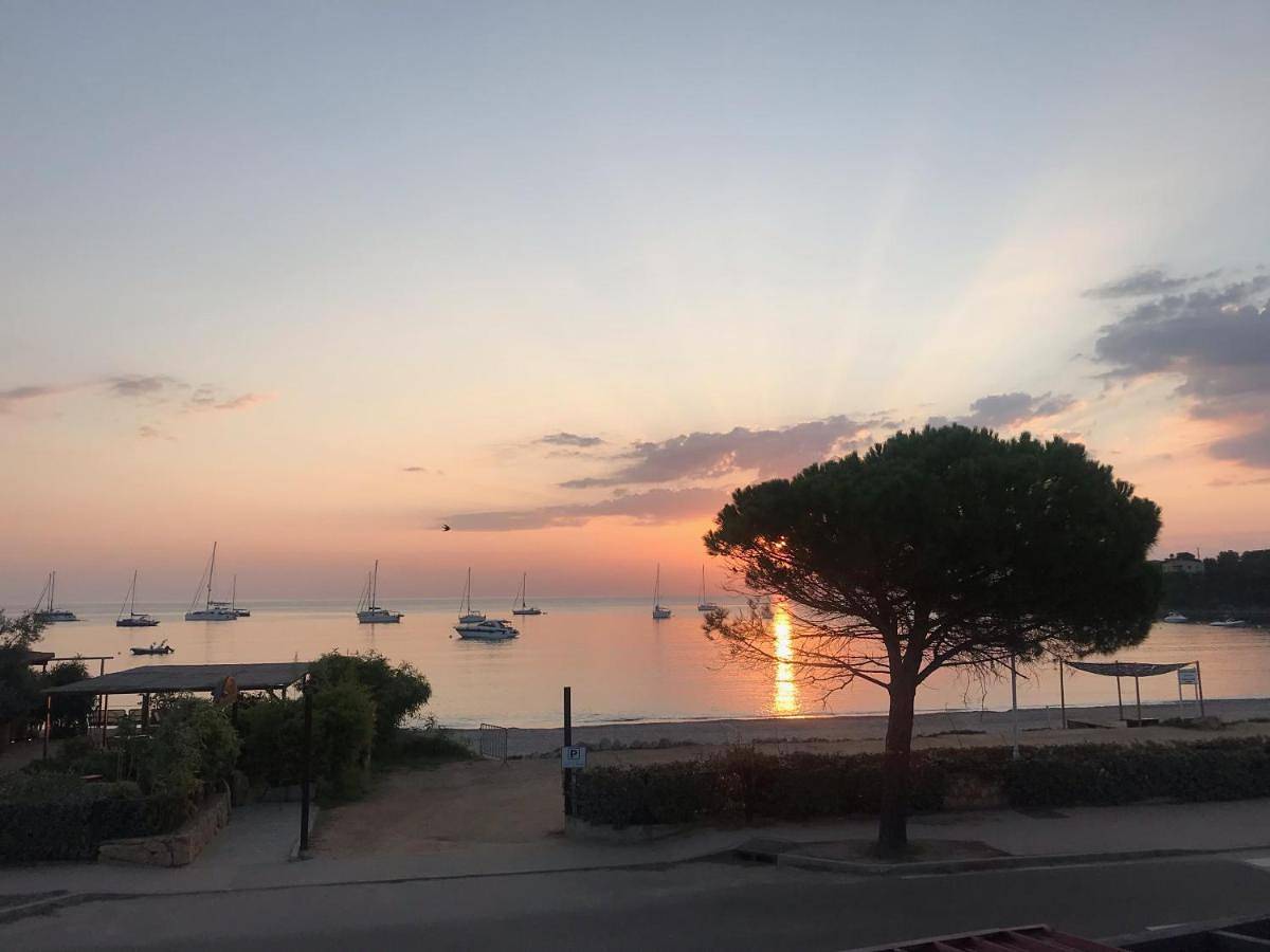Appartement entier, Apartment with Sea View in Favone, Conca