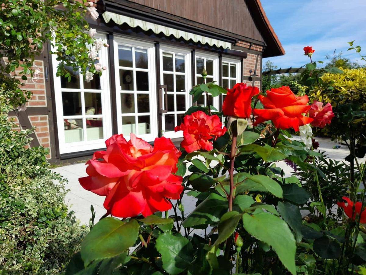 Two-Bedroom House in Gartow, Landkreis Lüchow-Dannenberg