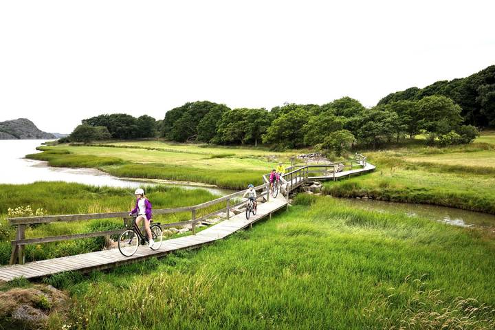 Villa für 4 Personen, mit Terrasse in Schweden - 2