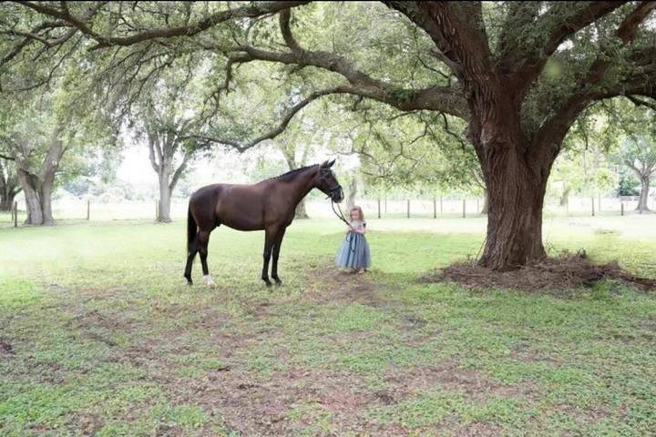 Casa de vacaciones para 10 personas, con jardín y jacuzzi - 1