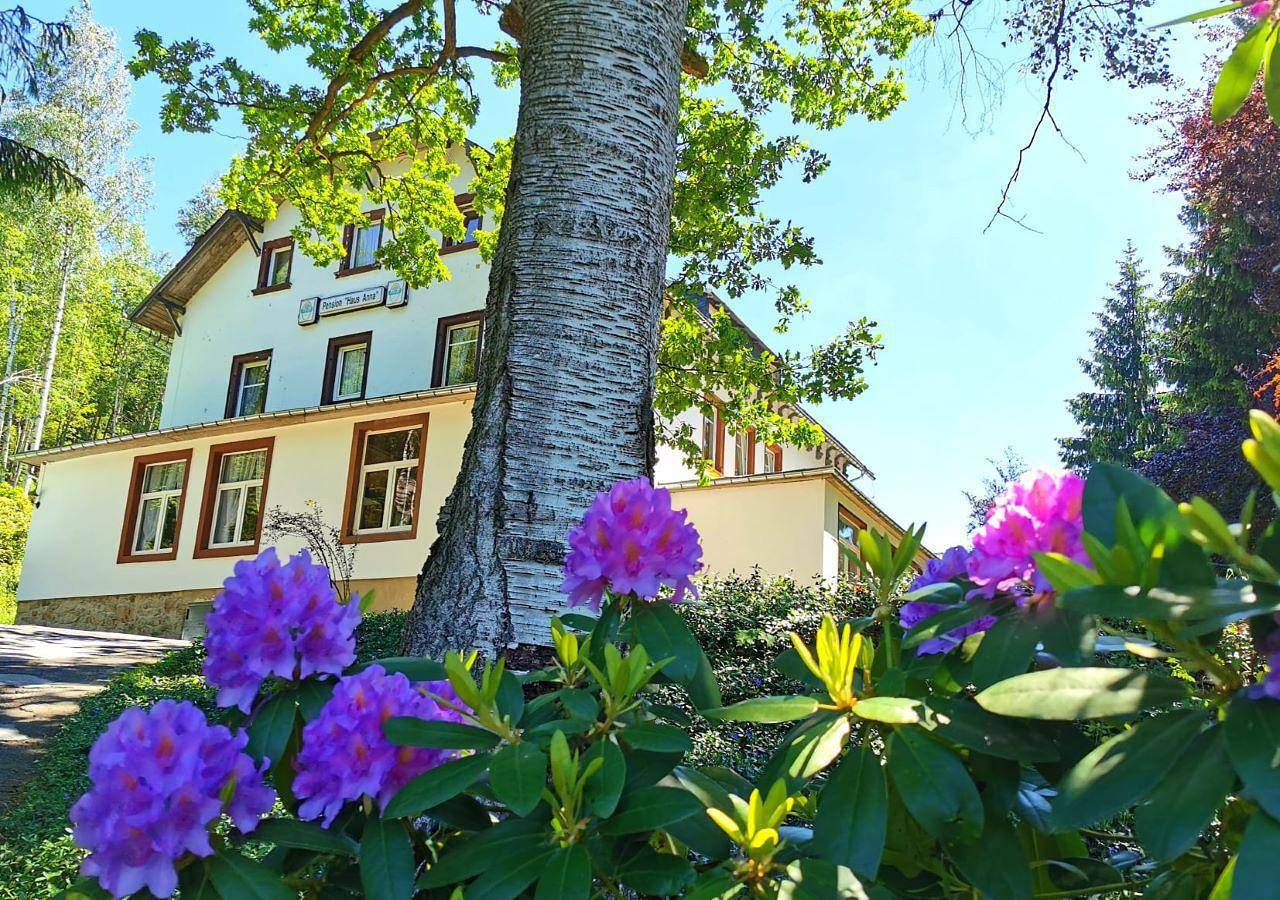 Pension Haus Anna in Altenberg, Mittlere Erzgebirge